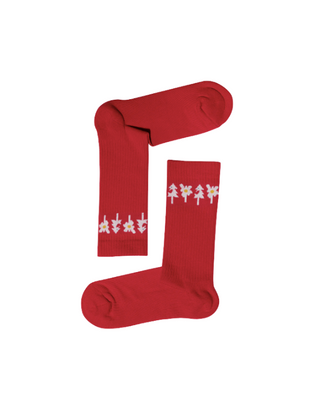 Les Alpinistes - Socken